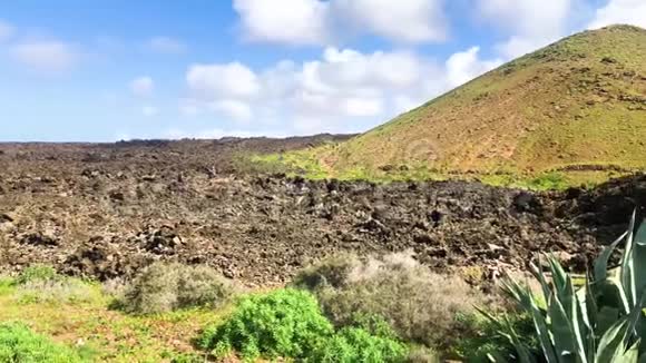 西班牙加那利群岛兰萨罗特卡尔德拉布兰卡火山旅游公路附近的绿色植物和熔岩场视频的预览图