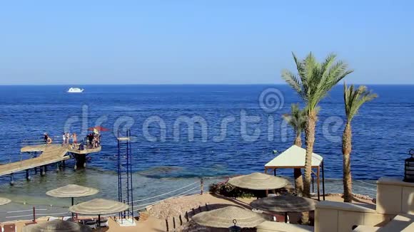 珊瑚海滩与码头和船红海附近的珊瑚礁埃及沙姆沙伊赫视频的预览图