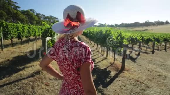 玛格丽特里弗农民妇女视频的预览图