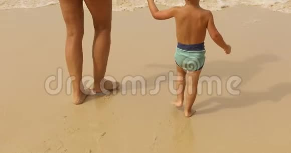 带着父母在海滩散步的热带男孩视频的预览图