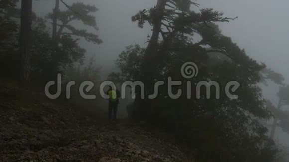 带着背包的游客沿着山坡穿过阴沉的雾蒙蒙的森林视频的预览图
