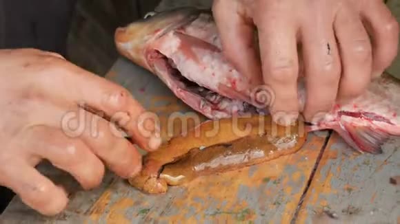 附近有鱼腹和鱼子酱的活鱼躺在木桌上视频的预览图