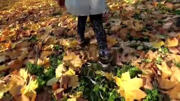 在秋天的季节孩子们的腿在树叶覆盖的地面上行走视频的预览图