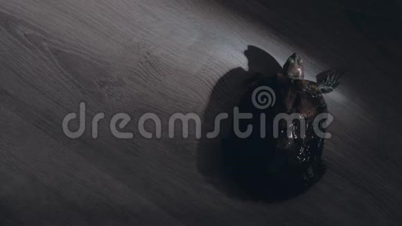 红耳龟通过一片阳光在黑暗的木地板上爬行视频的预览图