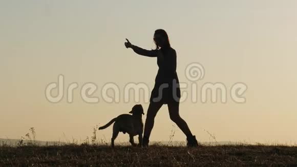 可爱女人的剪影训练一只狗并以大自然为食视频的预览图