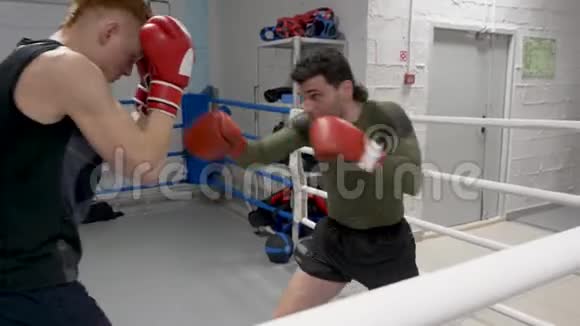 两个拳击手在拳击场上训练视频的预览图