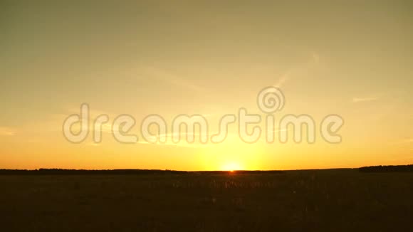 夏天在草原上日出春天里的日落太阳落在地平线上视频的预览图