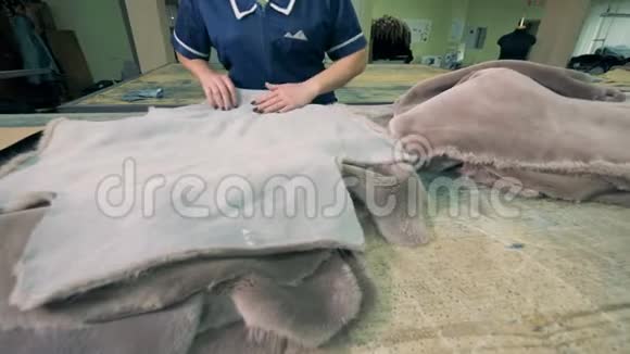 服装厂工人正在抚摸和整理死动物的皮毛视频的预览图