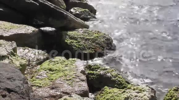 水和岩石视频的预览图