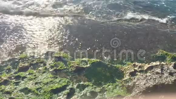 海浪拍打海岸岩石与绿色海草视频的预览图