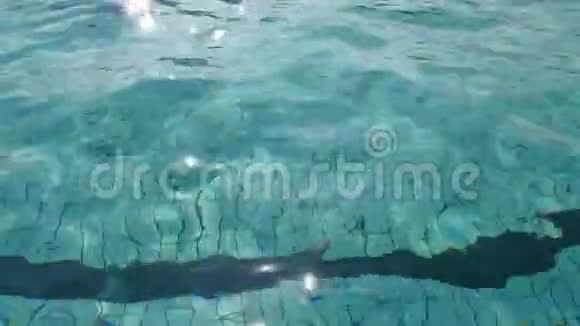 游泳池的水视频的预览图