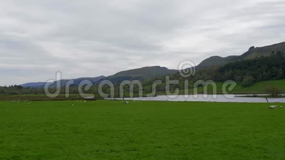 美丽的爱尔兰风景典型的草原视频的预览图