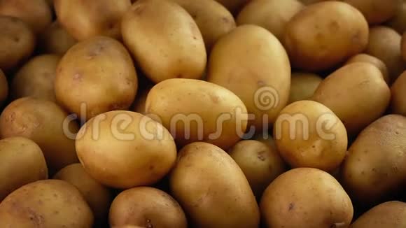 新土豆泥视频的预览图