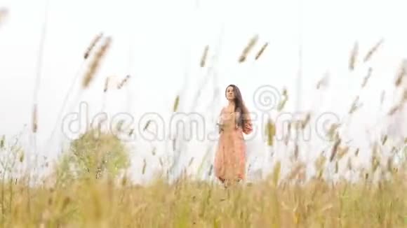 一个漂亮的女孩穿过田野拍摄风景长发慢镜头穿着裙子的浅褐色头发视频的预览图
