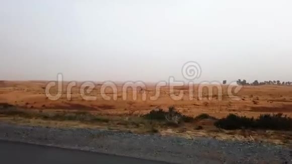 阿拉伯联合酋长国迪拜2019年4月17日沙尘暴期间穿越阿联酋沙漠的公路风光视频的预览图