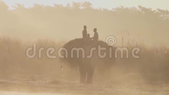 尼泊尔基特万国家公园大象上的人们运送草视频的预览图