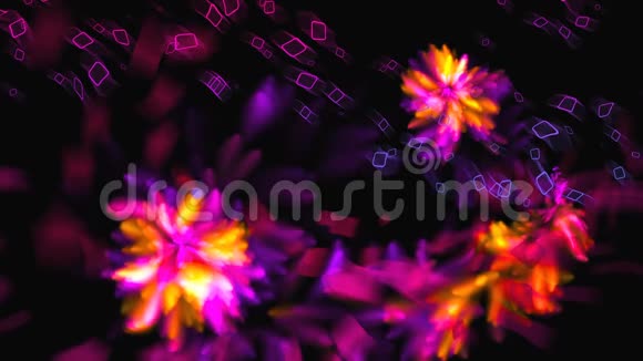 空间中带有方形形状和花朵的明亮抽象现代计算机生成背景三维渲染视频的预览图