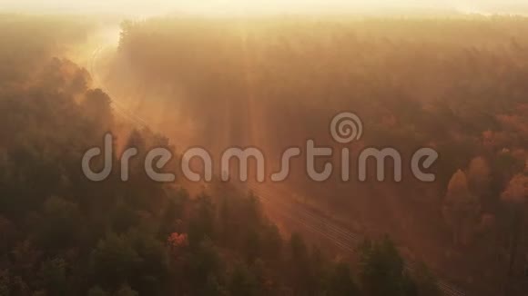 黎明时分一架无人机在雾蒙蒙的铁路上缓慢飞行穿过秋天的森林视频的预览图