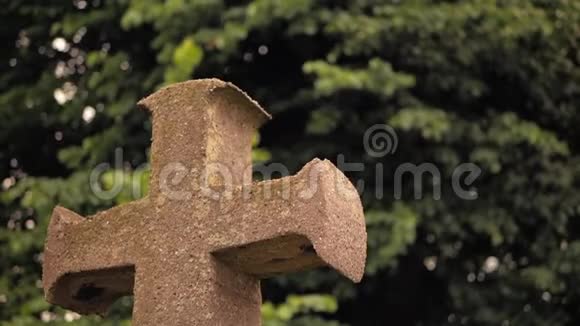 古老的石十字架在飘扬的树枝的背景下视频的预览图