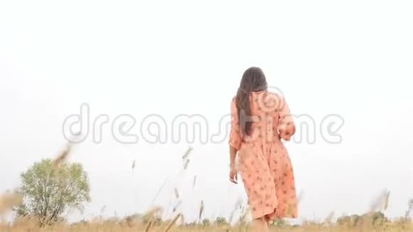 一个可爱的黑发女孩穿过草地从后面看慢动作视频的预览图