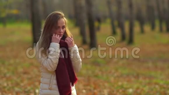 少年迷人的女孩冻在秋天的公园里温暖的手视频的预览图