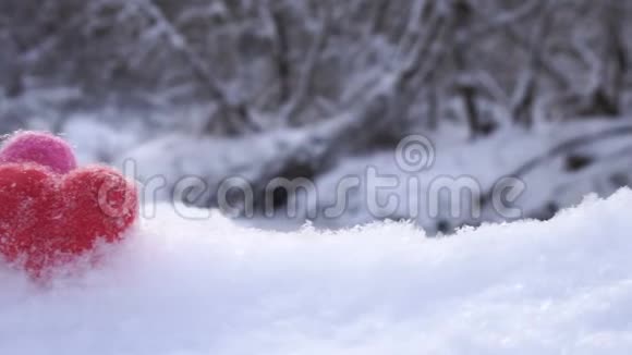 冬天两颗瓦朗蒂娜的羊毛心在江岸的白雪上视频的预览图