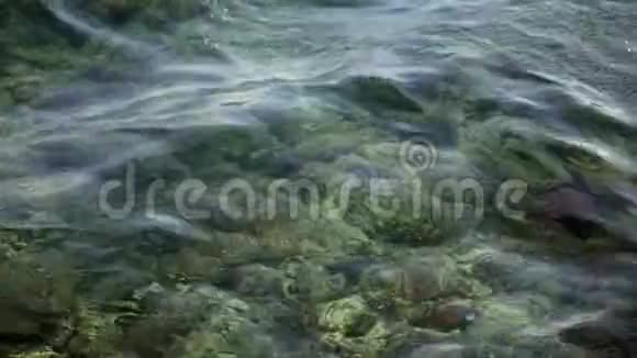 近景透明的海水在五颜六色的珊瑚礁上摇曳在海浪中反射阳光视频的预览图
