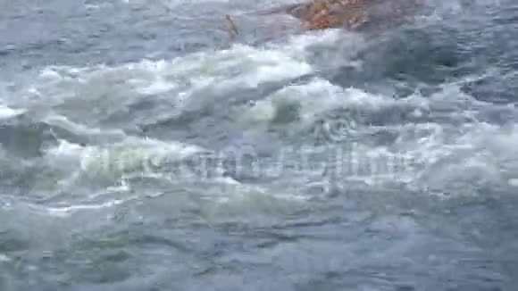 强大的水流在山河与泡沫和清澈的水特写视频的预览图