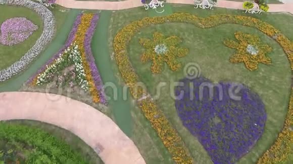 上海的奇迹花园视频的预览图