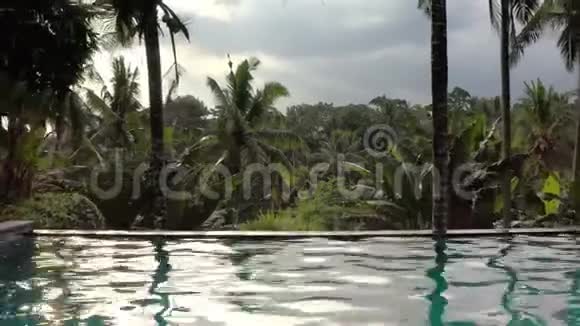 以绿色丛林和多云天空为背景的游泳池室外阳光充足视频的预览图