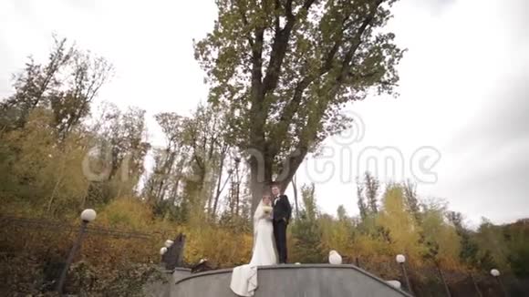 幸福的新婚夫妇站在大树前森林背景视频的预览图