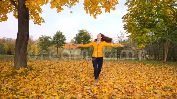 女人在飘落的黄叶下翩翩起舞视频的预览图