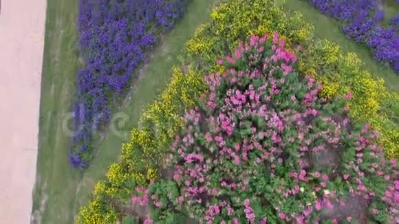 上海的奇迹花园视频的预览图