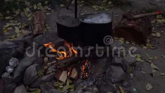 篝火上有两个弹弓在树林里旅行时做饭旅游和徒步旅行放大镜头视频的预览图