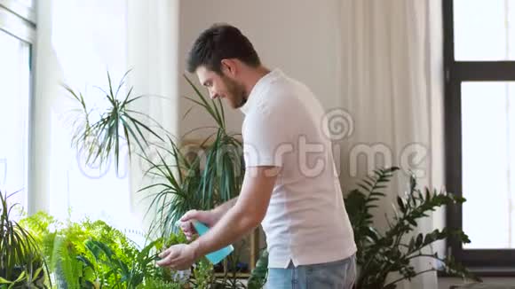 男人在家喷洒和清洗室内植物视频的预览图