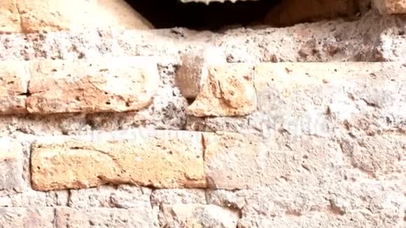 在罗马市中心的一座古罗马墙上有一个洞视频的预览图