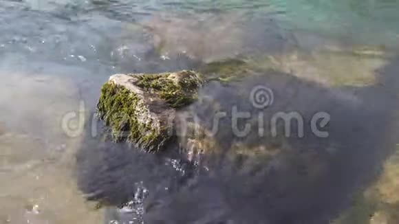 河水的湍急流淌着翠绿色的水用海藻冲刷着石头视频的预览图