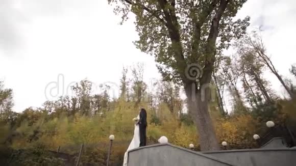 幸福的新婚夫妇站在大树前森林背景视频的预览图