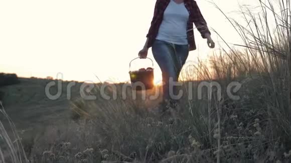 夕阳下的女农民手里拿着一个装满蔬菜的盒子有机食品视频的预览图