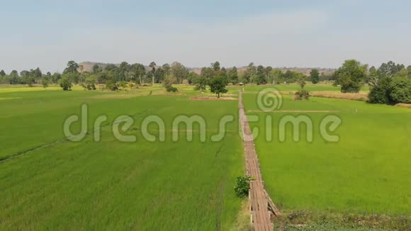 松林在清新自然的稻田里拍摄了维塔奇和老竹桥的鸟瞰风景老景视频的预览图
