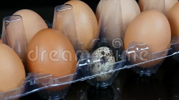 白色透明塑料托盘中的大棕色鸡蛋和一个鹌鹑视频的预览图