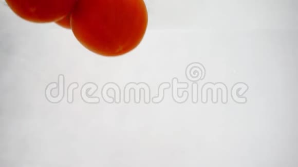 在白色背景下漂浮在水中的树枝上的红西红柿视频的预览图
