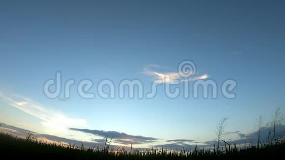 稻子在风中摇摆云在傍晚的田野里快速移动视频的预览图