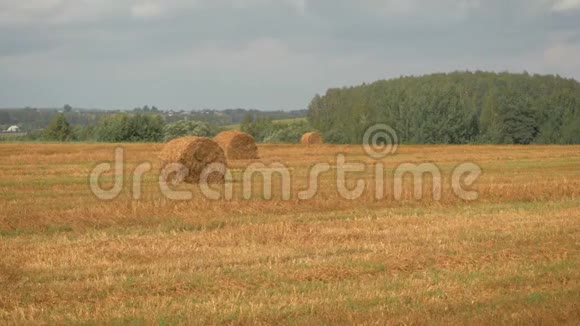 收获后夏日炎热的干草堆对农田的全景视频的预览图