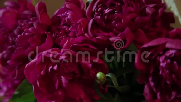 粉玫瑰作为背景花瓣上的镜头移动视频的预览图