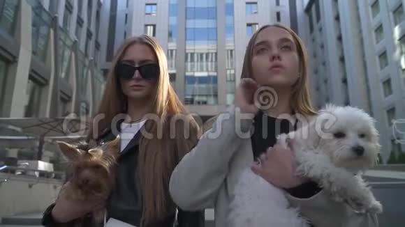 两个抱着小狗的时髦女孩视频的预览图