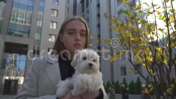 美丽的女人在城里摆姿势手里拿着一只小白狗视频的预览图