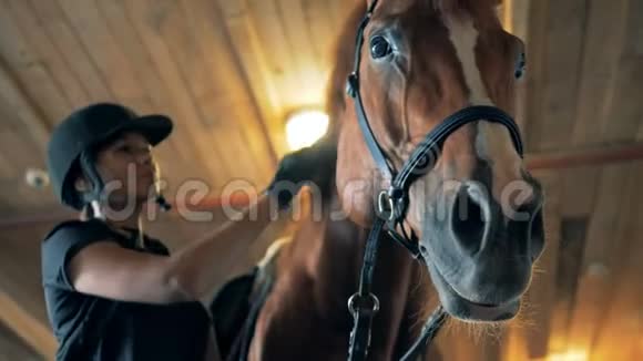 马的鬃毛被一个骑师女孩刷掉了视频的预览图