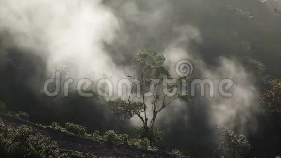 几乎没有水的河流视频的预览图