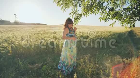 日落时分一位怀孕的年轻女子站在一片麦田旁边靠近悬挂着的树枝录像正在播放视频的预览图